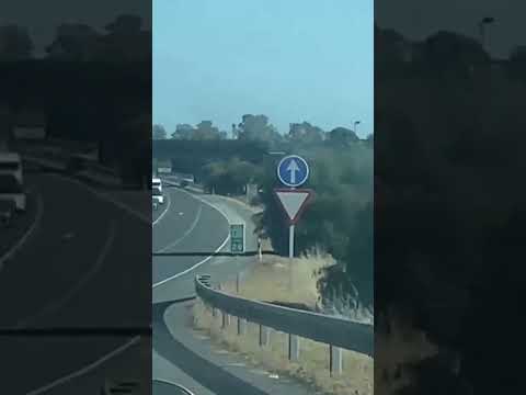 Indignaci&oacute;n en Huelva por caballos sueltos en la carretera: "puede haber otra v&iacute;ctima"