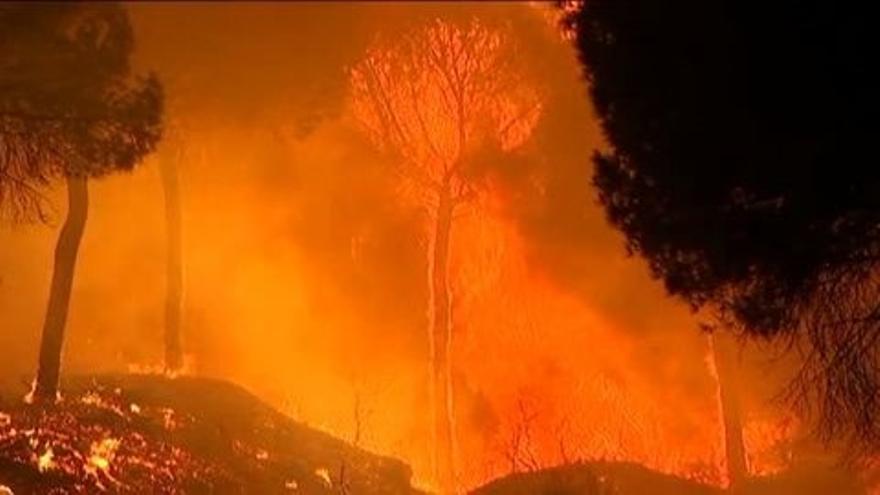 Más de 130 efectivos continúan trabajando en el incendio del Parque Nacional de Doñana