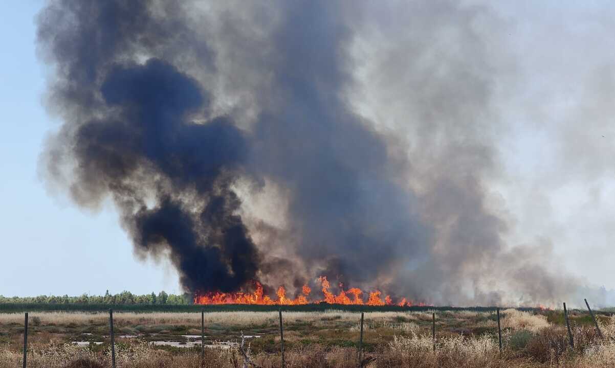 Reavivado el incendio de las Marismas del Burro en Gibraleón
