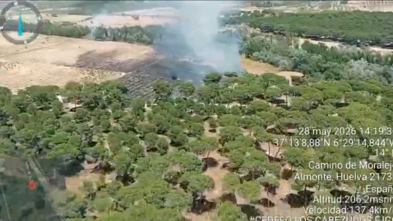 Alerta en Almonte por un incendio forestal en el paraje La Pañuela
