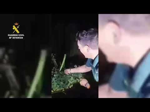 Jinete y caballo quedan atrapados en una zona de fango de El Roc&iacute;o