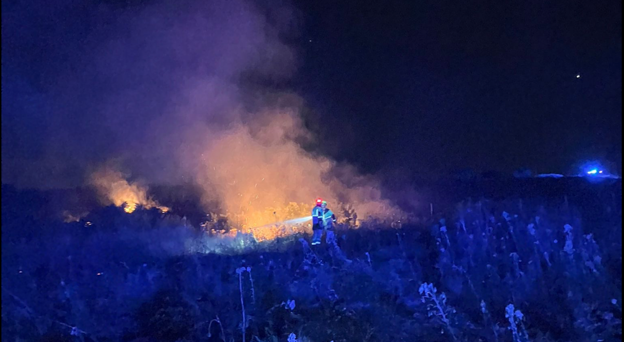 Incendio en viñedo de Huelva desata alerta en la provincia