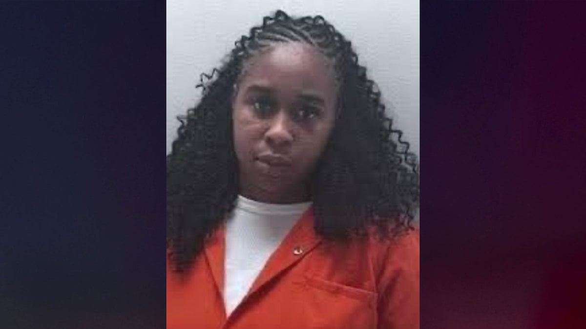 Virginia mom allegedly drowned her twin toddler sons in apartment bathtub