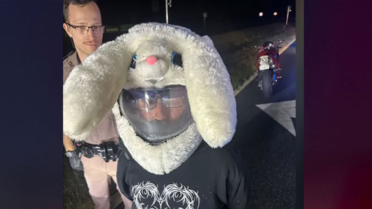 Motorcyclist in bunny helmet allegedly led police on high-speed chase across county lines