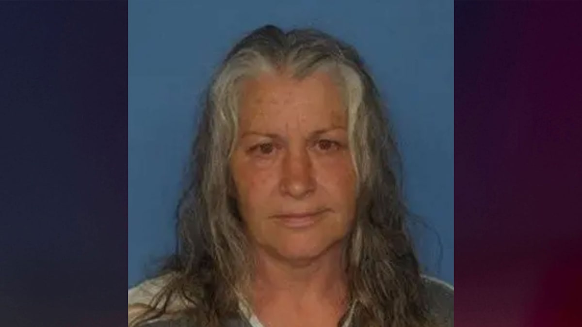 Woman allegedly attacked 67-year-old sister with hammer after argument over babysitting