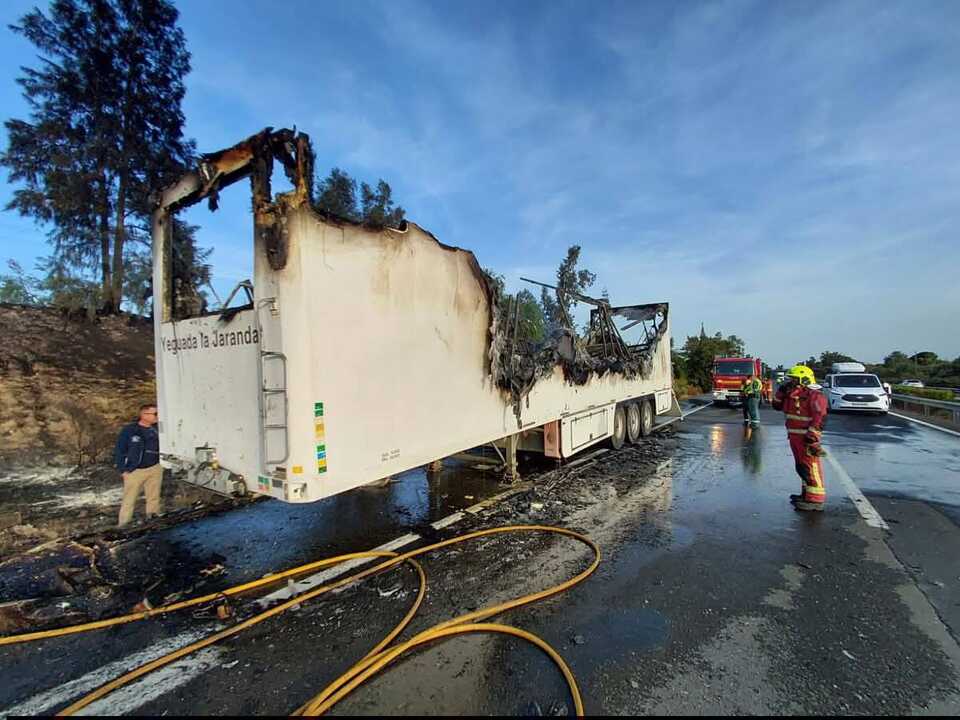 Ocho mulos mueren en incendio de camión en Huelva, uno resulta herido