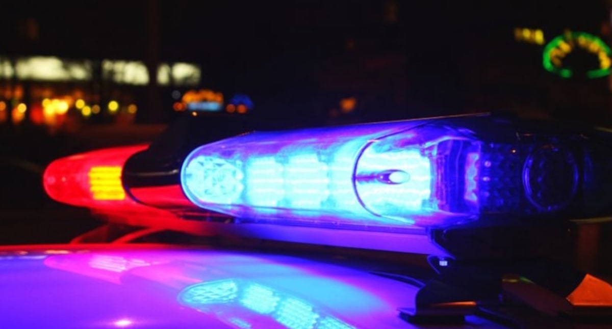N.Y. man allegedly stabbed disabled mom 40 times on Mother’s Day before being fatally shot by police