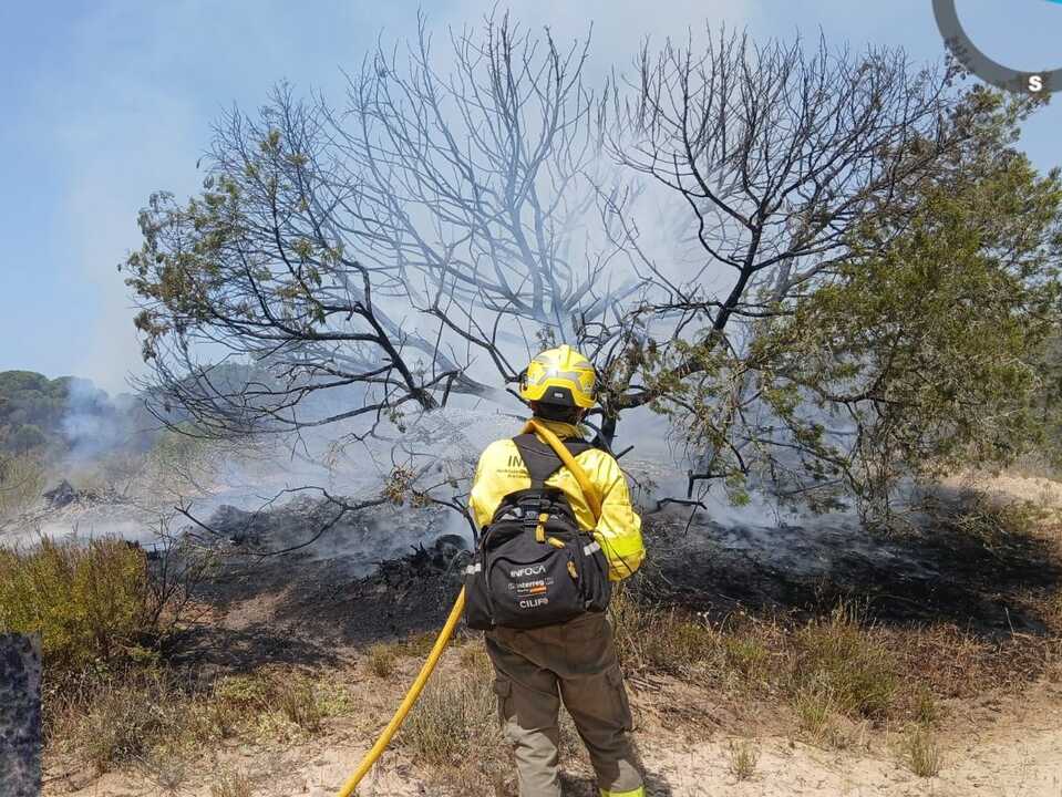 Un bombero se emplea a fondo contra el incendio de Doñana