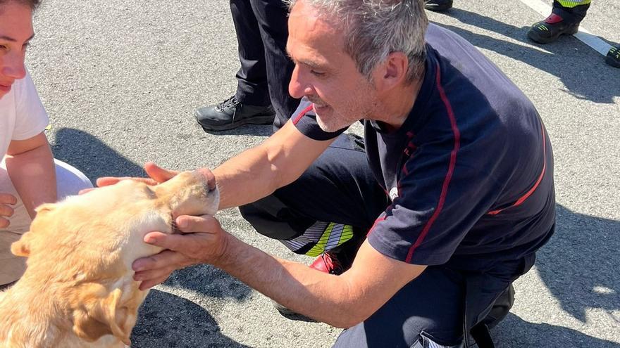 Final feliz en Igeldo tras el rescate de Nala después de caer por un acantilado: “Sobre todo agradecemos la empatía de todos los servicios de emergencia”