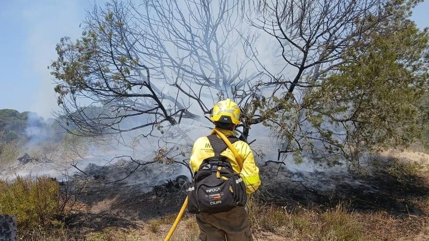 Ecologistas cifran en hasta 100 especies las afectadas por el incendio en Doñana