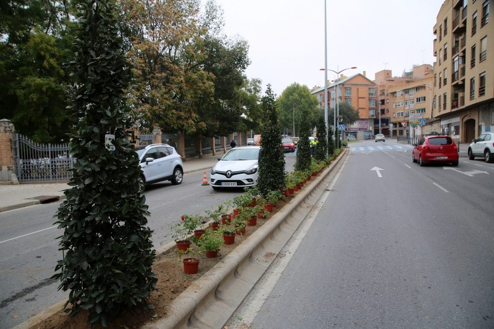 Nuevo atropello a una mujer en el paseo de la Rosa