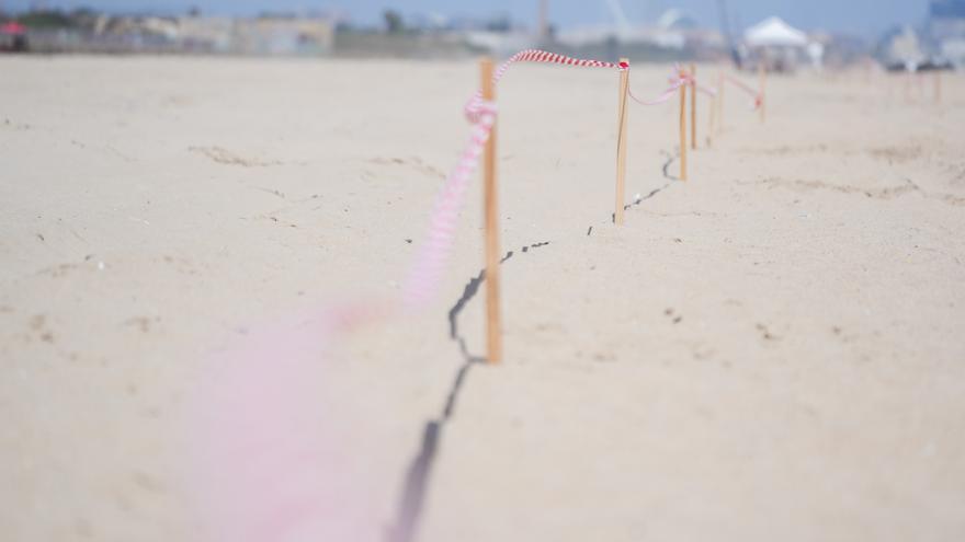 Hallan la mitad inferior de un cuerpo en avanzado estado de descomposición en una playa de Valencia