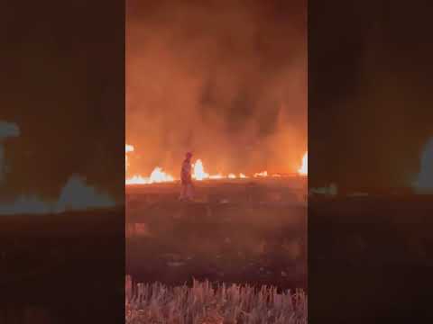 Incendio de pastos durante la feria de Manzanilla deja una zona calcinada