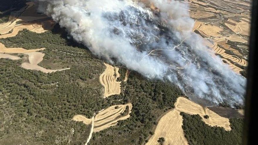 Aragón activa la UME por un incendio forestal declarado en Leciñena, a menos de 40 kilómetros de Zaragoza