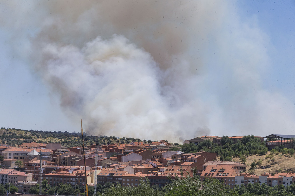 Importante incendio de pastos en la Academia de Infantería