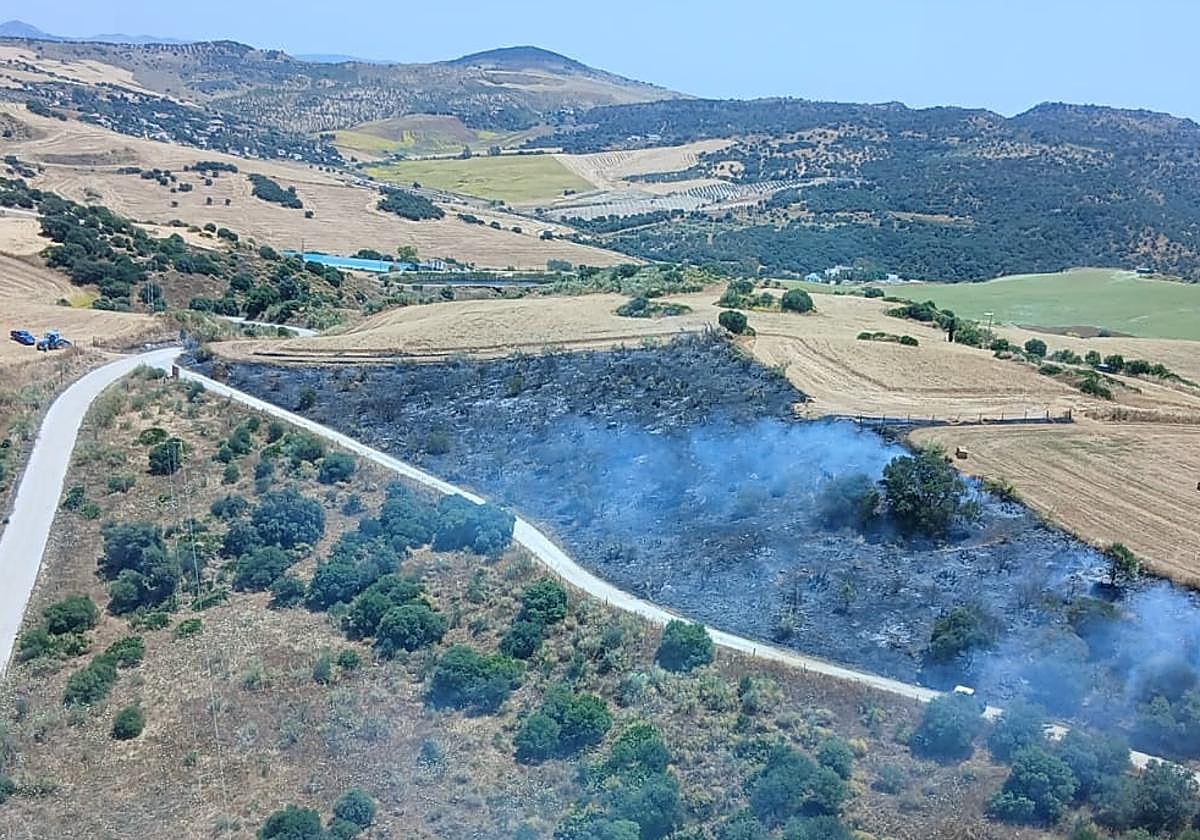 Declarado un incendio forestal en Almogía