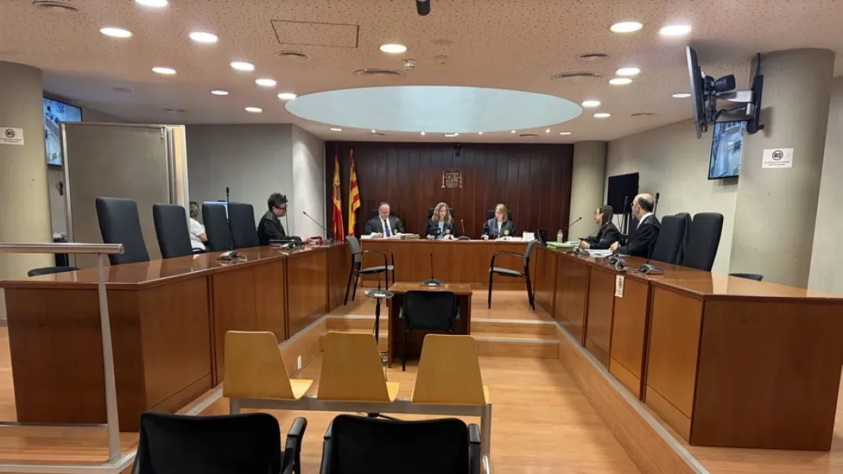 Aumentan denuncias por delitos sexuales en las comarcas leridanas: se triplican los casos de violación en Lleida ciudad