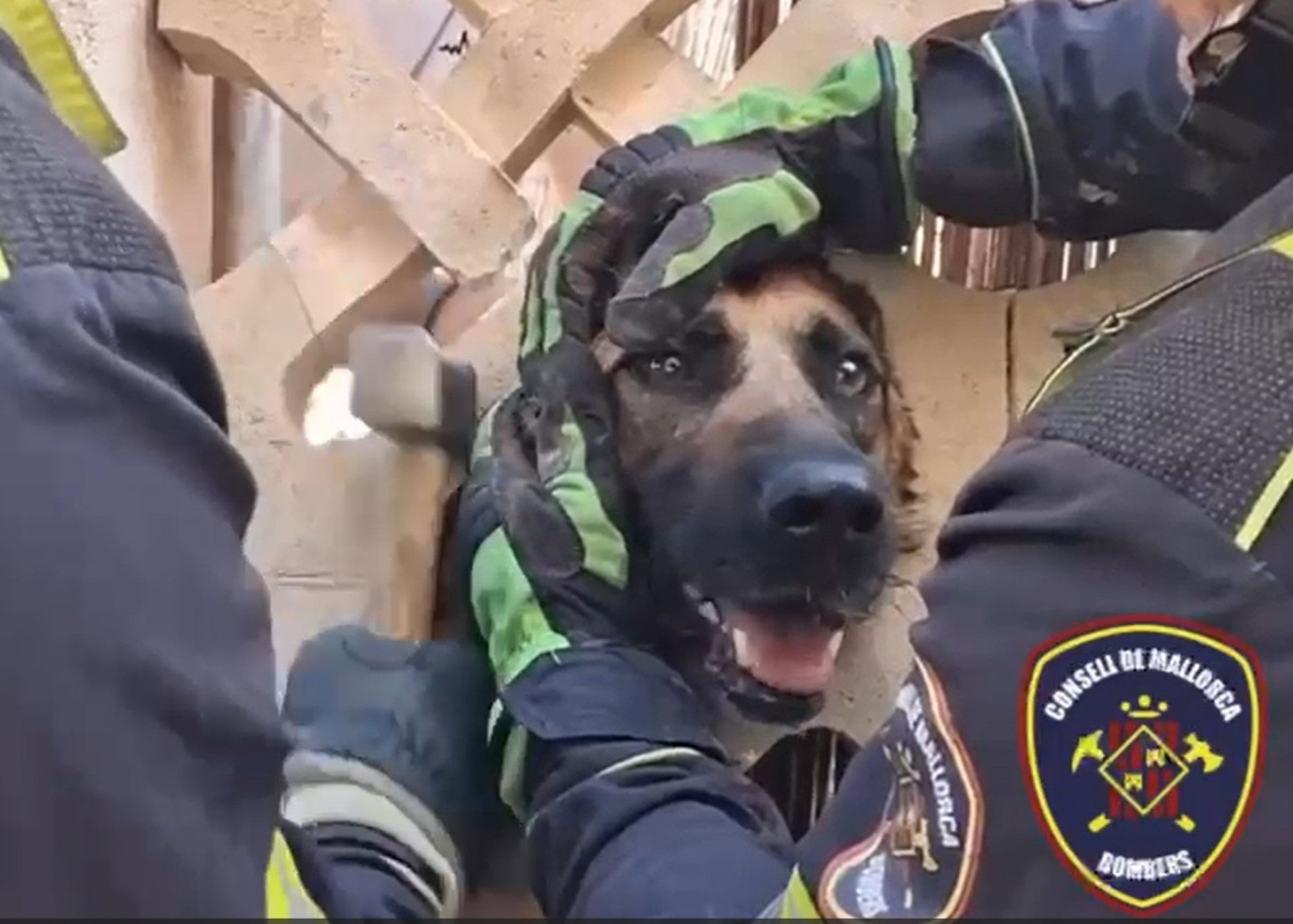 Los bomberos rescatan a un perro que se había quedado atrapado en un balcón de una vivienda de Marratxí