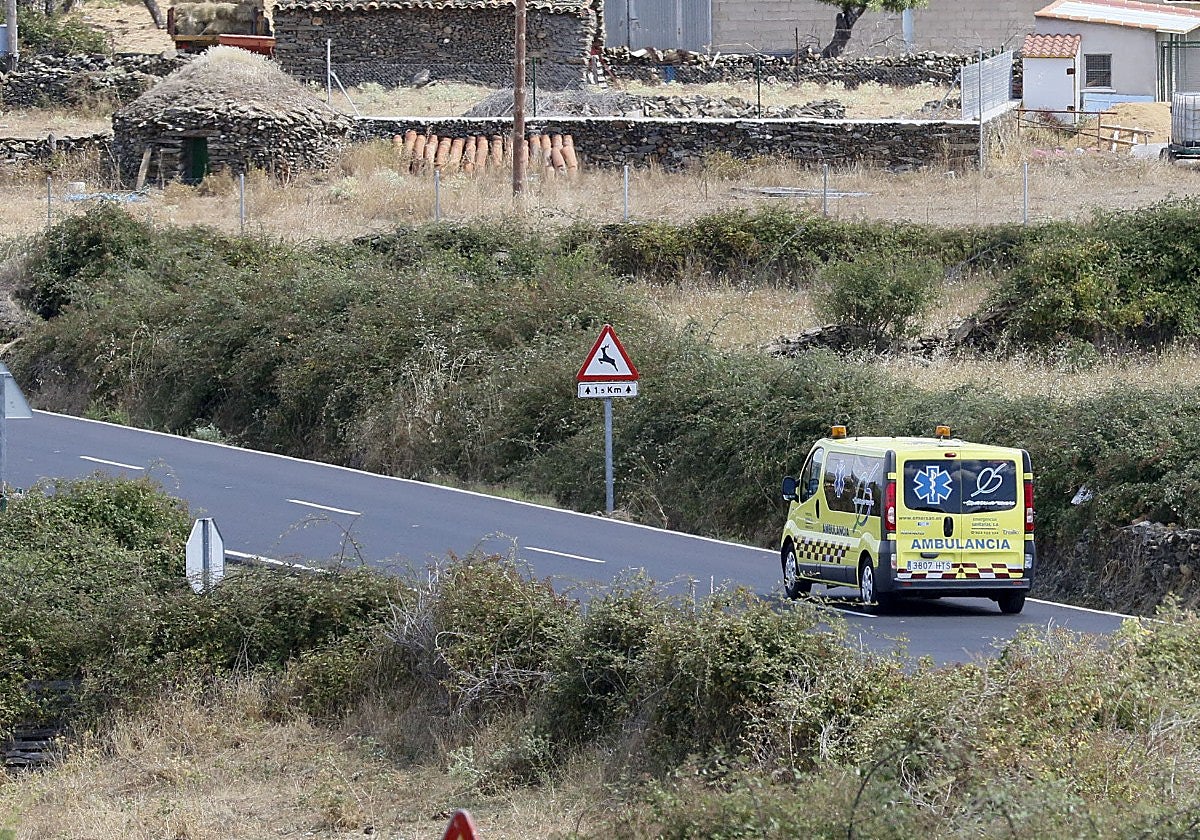 Herido un motorista tras colisionar contra un jabalí en una carretera de Salamanca