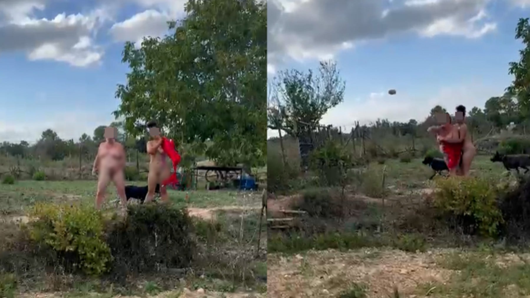 Conflicto vecinal en Mallorca: espiral de violencia entre vecinos por disputa de propiedades