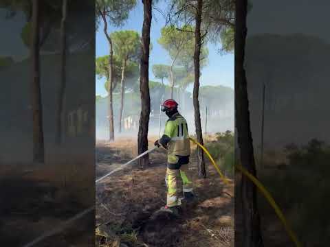 Bomberos logran controlar incendio en Almonte tras ardua labor en SAB-Huelva