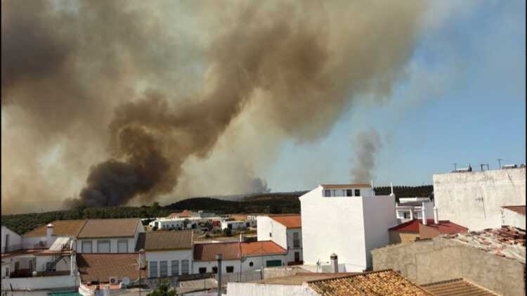 El incendio obliga a cerrar la N-431 en ambos sentidos a su paso por Gibraleón