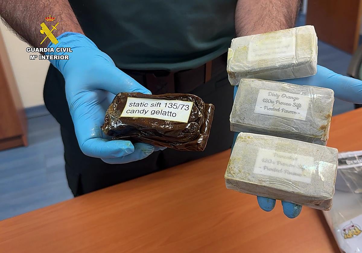 Descubren 394 gramos de hachís en paquete postal enviado a Logroño: detienen a presunto traficante