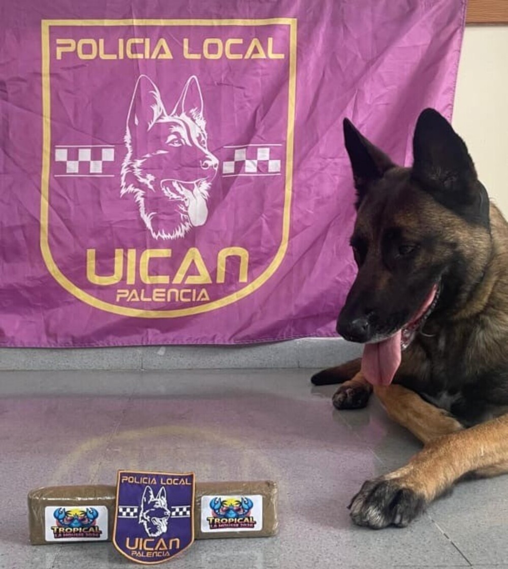 Detenidos dos jóvenes por presunto tráfico de drogas