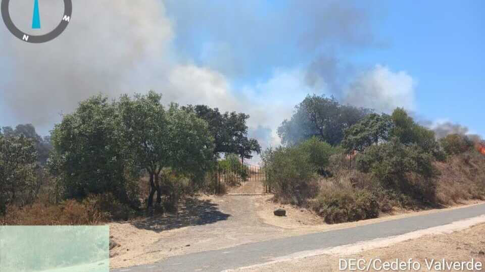 Alarma en Valverde: un incendio forestal moviliza medios terrestres y aéreos