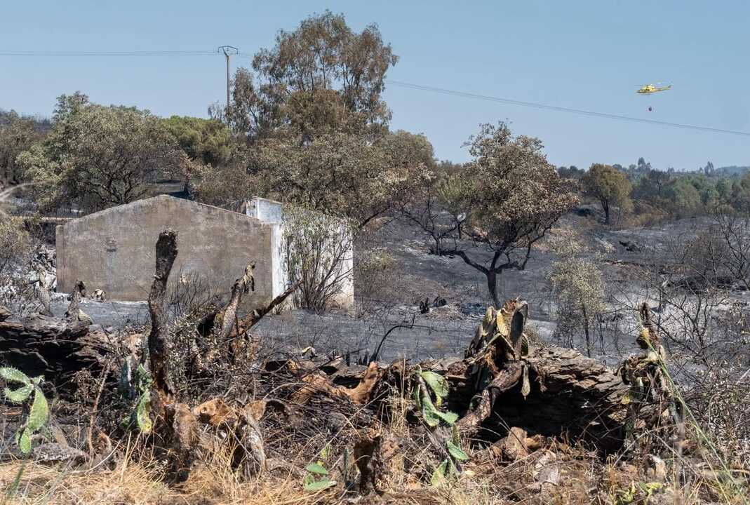 El incendio de Castillejos, ya controlado, pudo haber sido causado de forma "accidental"