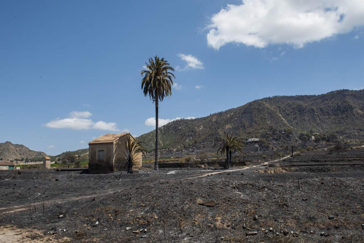 Extinguido el incendio forestal de Los Garres