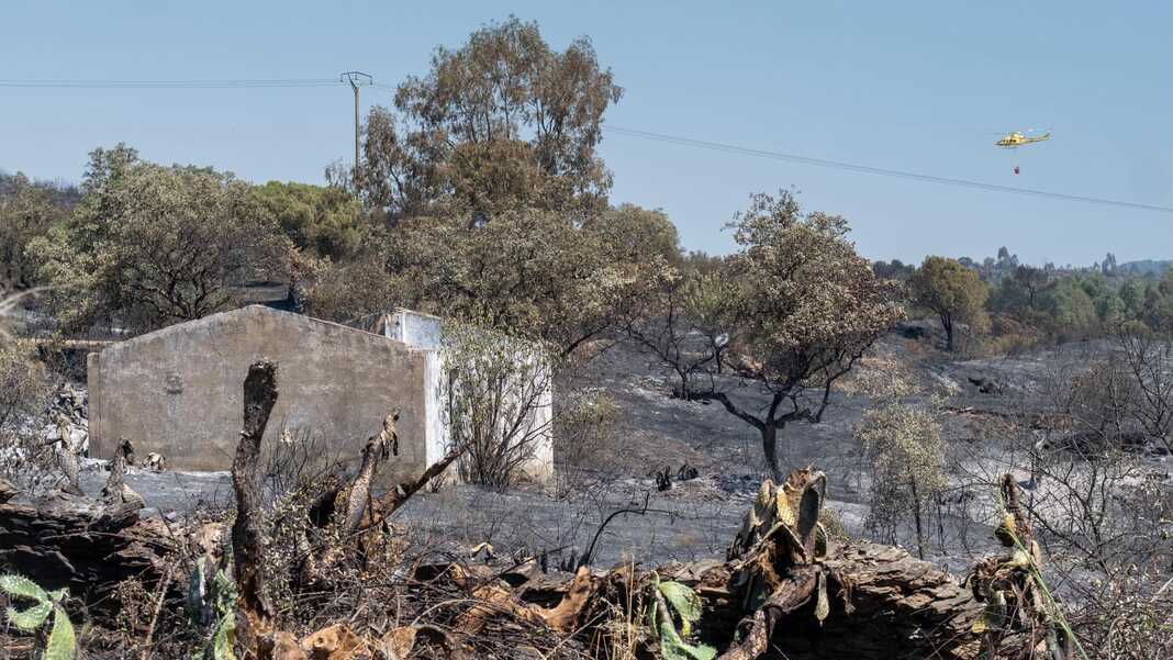 El incendio de Villanueva de los Castillejos supera ya las 5.000 hectáreas quemadas