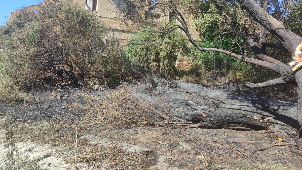 Identificados dos menores por provocar un incendio en San Andrés: el Ayuntamiento les reclamará el coste de apagarlo.