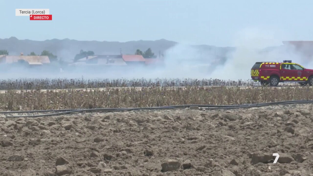 Incendio en plantación de alcachofas de Tercia moviliza a servicios de emergencia