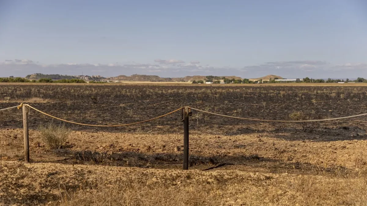 Incendio en reserva natural de Alfés pone en peligro la recuperación de especie emblemática