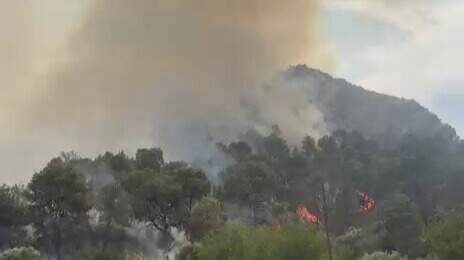 Incendio forestal en Los Garres moviliza amplio dispositivo de emergencias