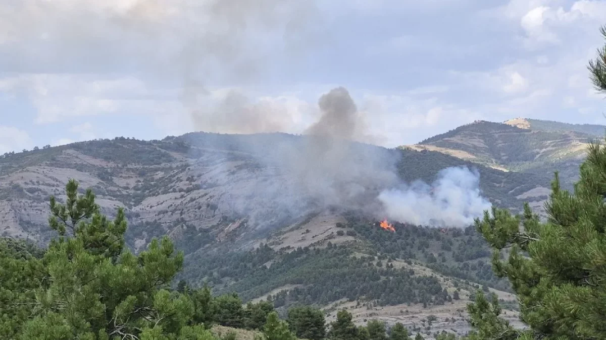 Llevan a bomberos en helicóptero hasta un incendio forestal en Tremp