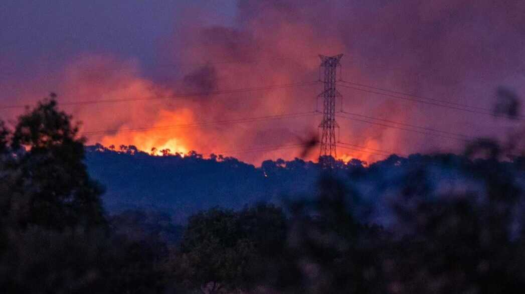 Interrumpida la circulación ferroviaria entre Gibraleón y Calañas por incendio cercano: medidas preventivas para garantizar la seguridad.