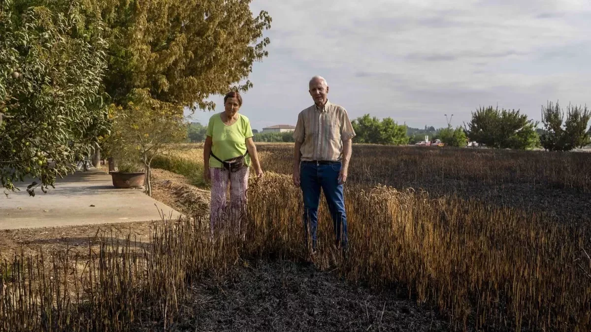 Investigan las causas del incendio en la cooperativa Arcofrut que afectó a vecinos de Vila Montcada-Ciutat Jardí