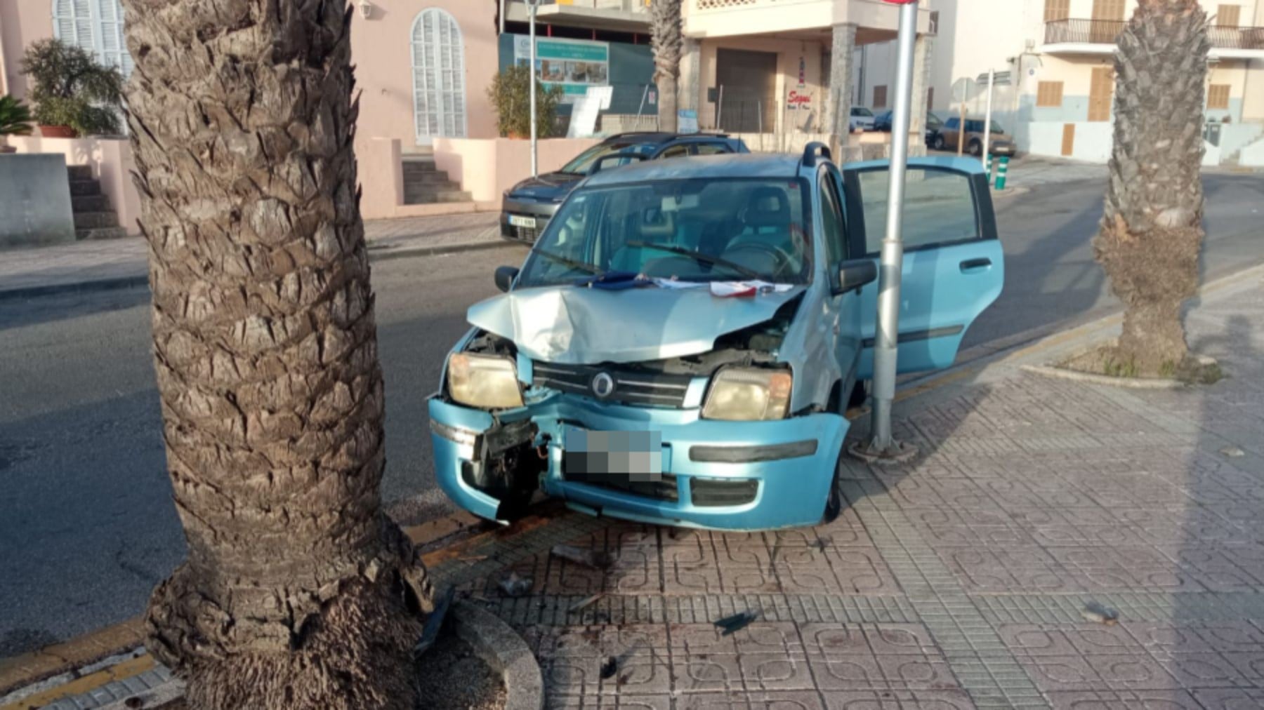 Sale de fiesta en Mallorca, se empotra contra una palmera y da positivo en alcohol: «No sé qué ha pasado, agentes»