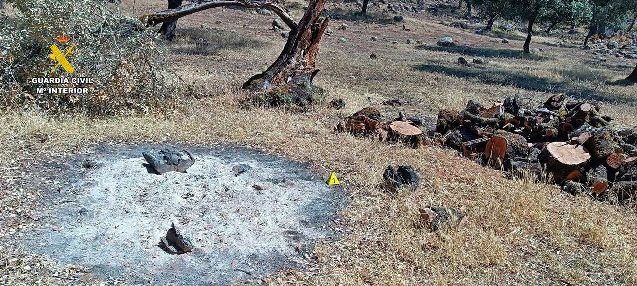 Investigan a un vecino de Huelva por un incendio forestal que arrasó unas 100 hectáreas en Badajoz