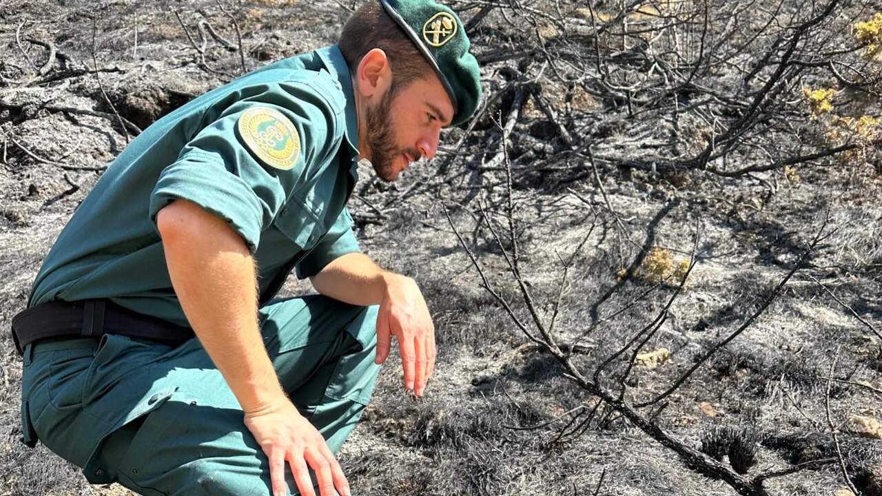 Navarra endurece la vigilancia sobre el fuego en el campo ante el fuerte riesgo de incendios forestales