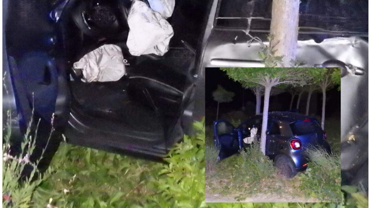 Un menor huye de la Policía Foral en Tudela y acaba chocando contra los árboles de una rotonda urbana
