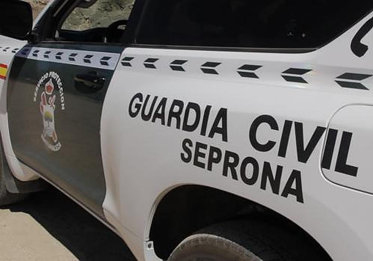 Rescatan a cabra montesa atrapada en balsa de riego en Cártama gracias a la rápida intervención del Seprona