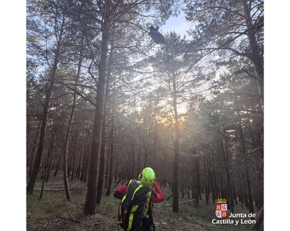 Rescatada una parapentista en Arcones al quedarse en un árbol