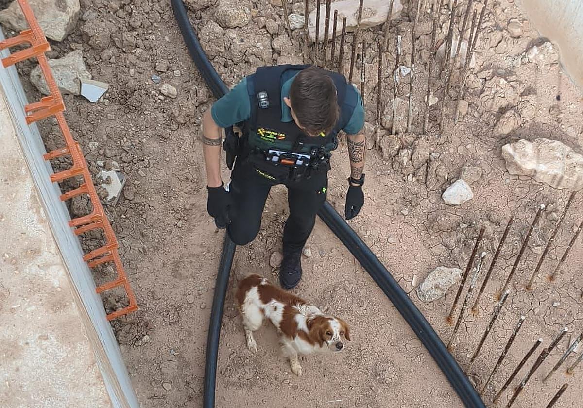Rescatan a perro atrapado en un pozo de cuatro metros en Burgos