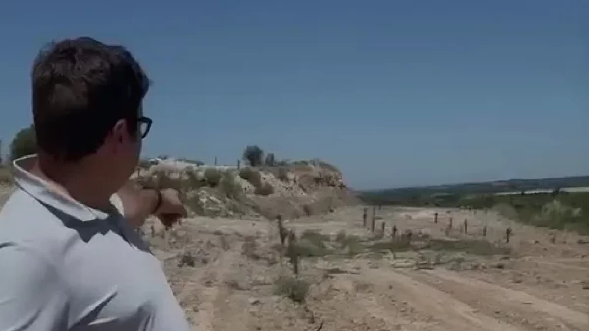 Denuncian el robo de más de 200 pistacheros en Les Borges