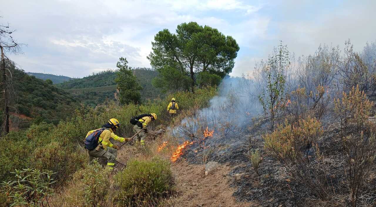 Segundo incendio en la Sierra en la misma tarde: el Infoca combate las llamas en Almonaster