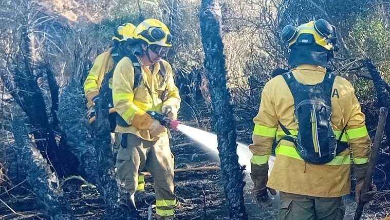 Nuevo incendio en Gibraleón: ¿qué está pasando en Marisma del Burro?