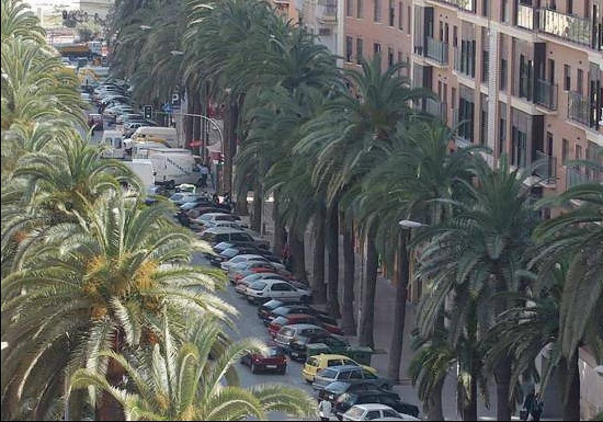 Seis detenidos por el apuñalamiento a un joven de 25 años en Alameda de Colón